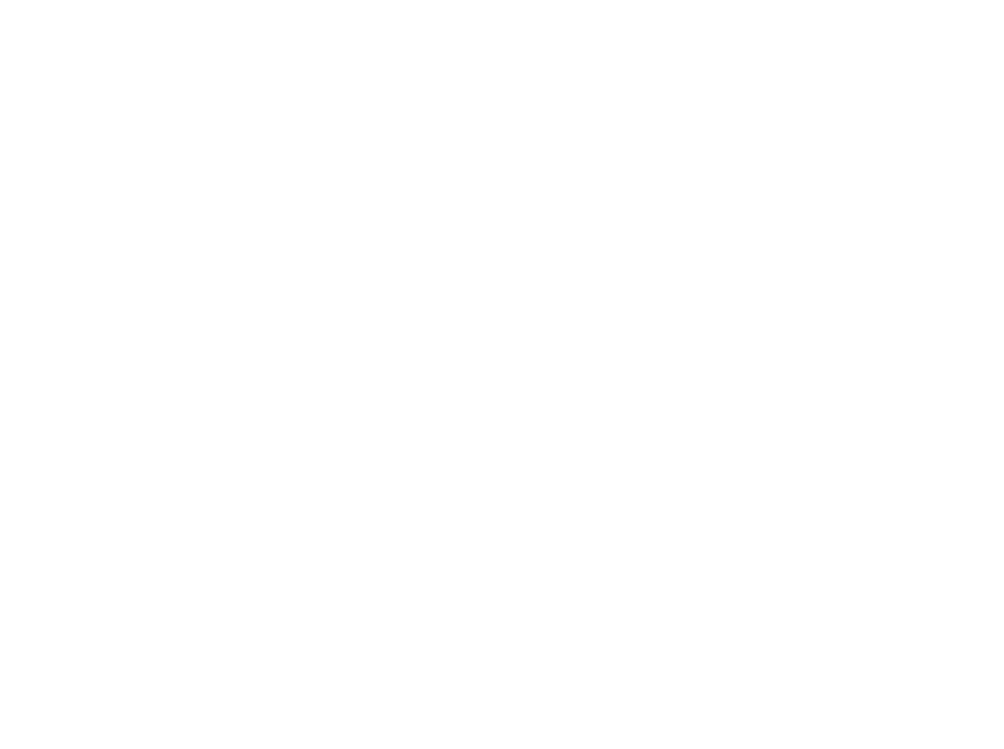 logo light